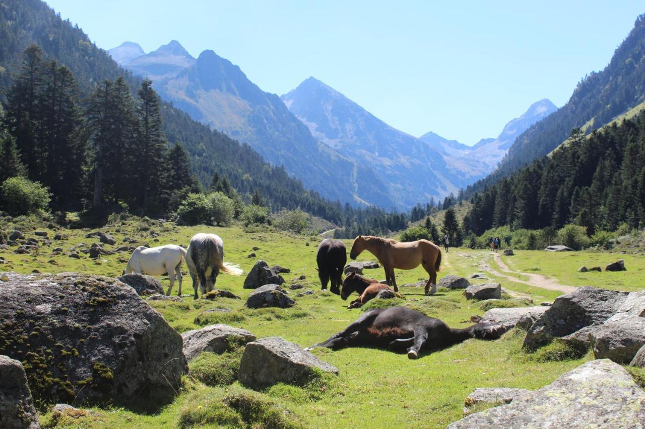 Jolie Studio En Rdc Cauterets Dış mekan fotoğraf